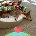 Cassy Fowler - Facebook