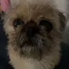 ꏳꍏꌚꌚꀤꀷꌩ - @cassidy.jones.1 - TikTok