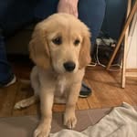 Cassidykelley - @cassidykelley8628 - Instagram