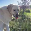 cassidyking - @cassking021121 - TikTok