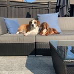 Cassidy Lang - Facebook