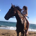ℂΛṦṦ - @cassidy_langel - Instagram