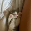 cassidy - @cassiidyw - TikTok