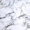 Cassidy Warner  - @cassidywarner101 - TikTok