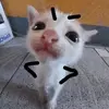 cassiebeans - @cassiebeans - TikTok