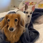 Cassie & Daisy - @daisy.and.cassie - Instagram