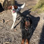Cassie and Daisy - @cassie.daisy.setters - Instagram