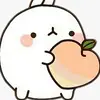 cassiedaisy5 - @cassiedaisy5 - TikTok