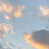 cassiewingate - @cassiewingate - TikTok