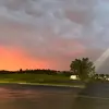 spam_cassie0 - @cassie.grasswick - TikTok