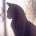 Cat Clark - Facebook