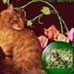Cat Clark - Facebook