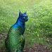 Cat Clark - Facebook