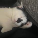 Cat Davies - @caitlin.davies2007 - Instagram