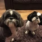Cat Davies - @catdavies7250 - Instagram