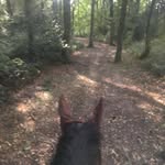 Cat Davies - @nervousrider - Instagram
