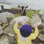 Cat Davies - @thankful_mummy - Instagram