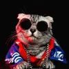 Cat Jackson - @cat_jackson0 - TikTok