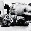 CatKeen 💚 - @catkeen - TikTok