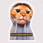 گربه | کلیپ گربه | گربه بامزه | حمایت حیوانات | حیوانات خانگی - @cat.kingdom2025 - Instagram