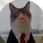 cat king 😾😻😸 - @cat__king___ - Instagram