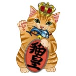 Cat King 貓皇 🐈👑💛 #貓comesfirst - @catkinghk - Instagram
