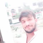 cat king amroha 👑😺🐈🐈 - @kashif.sami.5667 - Instagram