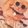 catking - @catking89 - TikTok