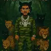 King Cat - @king.cat7424 - TikTok