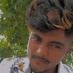 Linga Reddy - @cat_king_16 - Instagram
