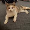 catlane35 - @catlane35 - TikTok