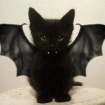 Cat McDonald - @uspaige - Instagram
