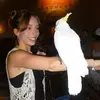 Cat McDonald - @catmcdonald0 - TikTok