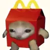 McDonald's Cat - @mcdonald_cat0 - TikTok