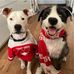 Cathy McDonnell - Facebook