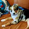 Cat Miller - @cat.miller6 - TikTok