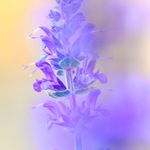 Cat Miller Photography - @catmillerphoto - Instagram