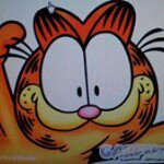 Cat Shen - @cat.shen - Instagram