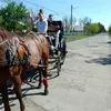 Cătălin Petcu 19 - @catalinpetcuu - TikTok