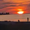 Cătălin Popa 29 - @catalinpopa590 - TikTok