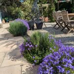 Kate Hadley - @gardendingformywellbeing - Instagram