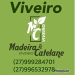 Elio Marcelo Rocha Catelane - @eliomarcelorochacatelane - Instagram