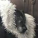 Cate Wallace - Facebook