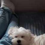 Caterina Grillo - @grillo.7176 - Instagram