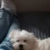 Caterina Grillo - @caterina.grillo43 - TikTok