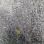 Cath Farr - @cathfarrarchival - Instagram