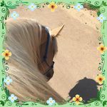 Cathy Rambo Hodges - @cathy_hodges - Instagram