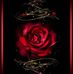 Katherine Clark - Facebook