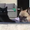Catherine Acart-Ridel - @catherine.acartri - TikTok