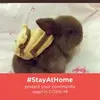 Catherine Ahern465 - @catherineahern465 - TikTok